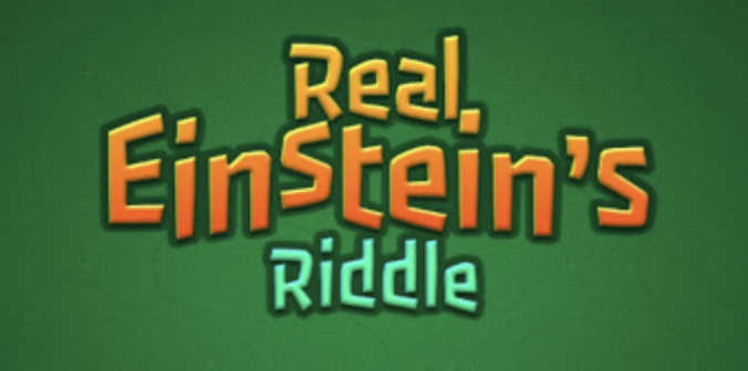 Einstein Logo Text